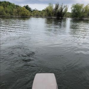 Meet your Posher, Joeann